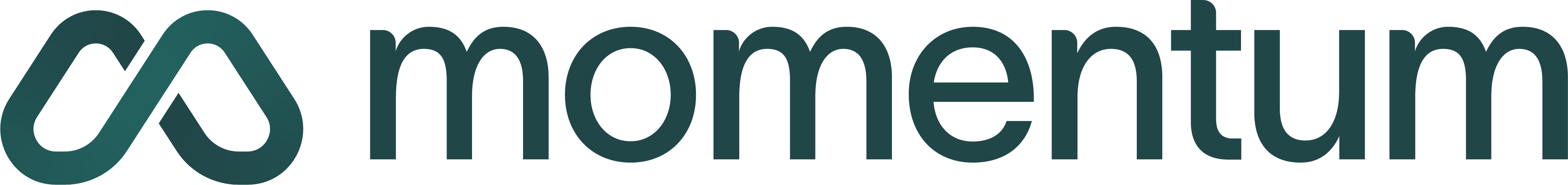 Logo Momentum